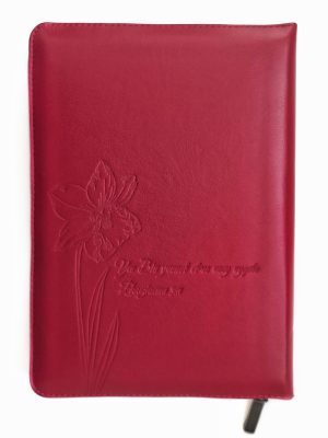 Біблія. Червона. Сучасний переклад Р.Турконяка. №1056934